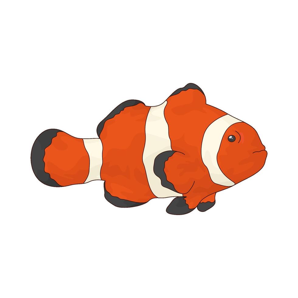 clown fish illustration vector