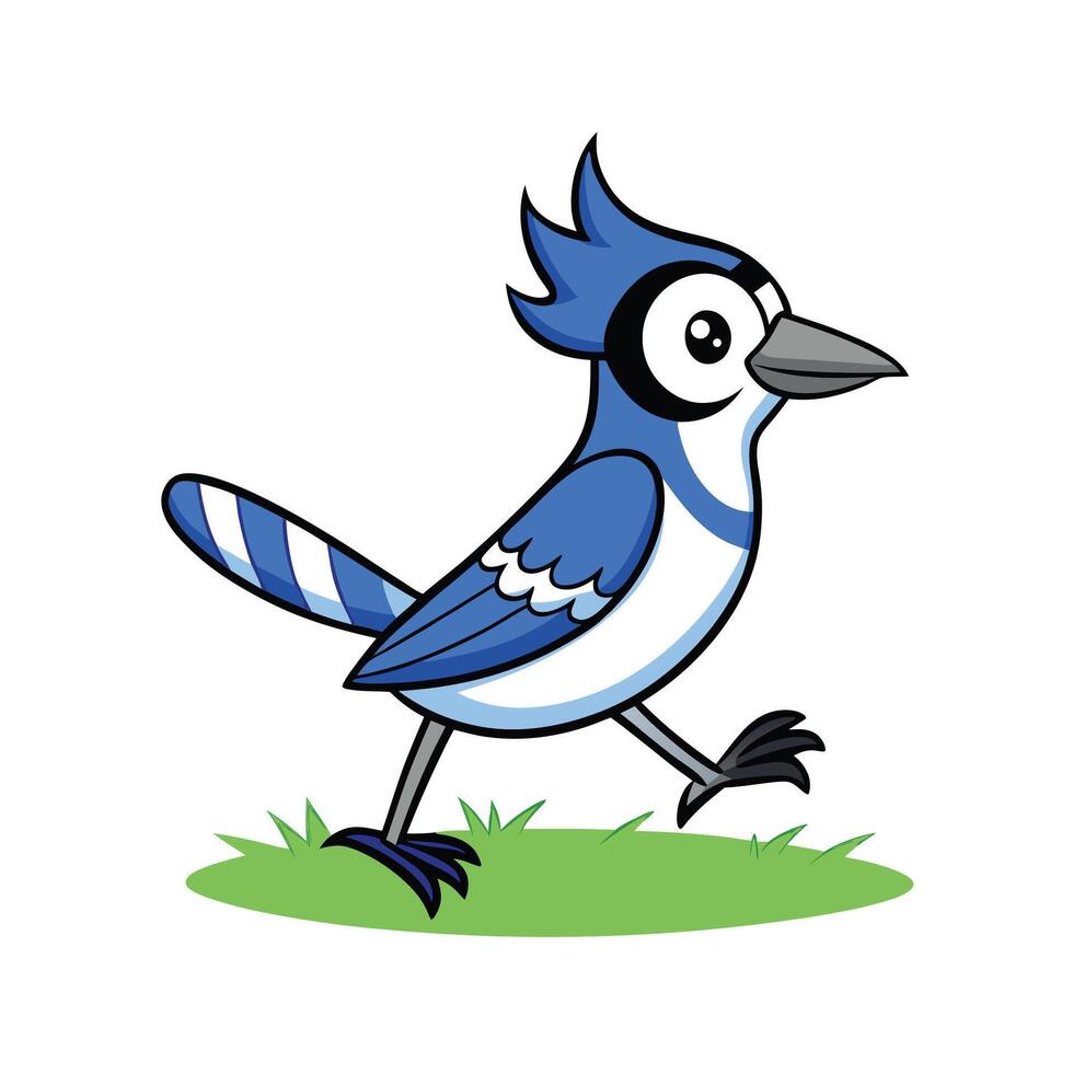 Blue Jay Hopping Across Grass with Blue Feathers vector