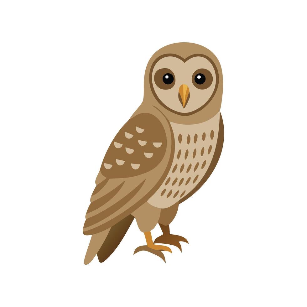 Barred Owl Icon with Flat Design vector