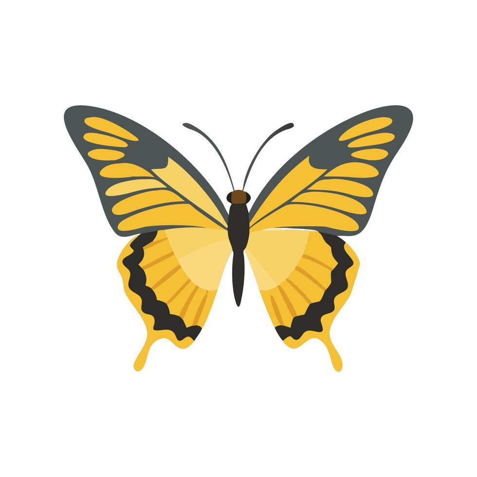 Common Yellow Swallowtail Flat Icon 3 vector