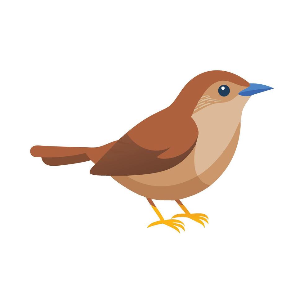 Eurasian Wren Flat Icon 1 vector