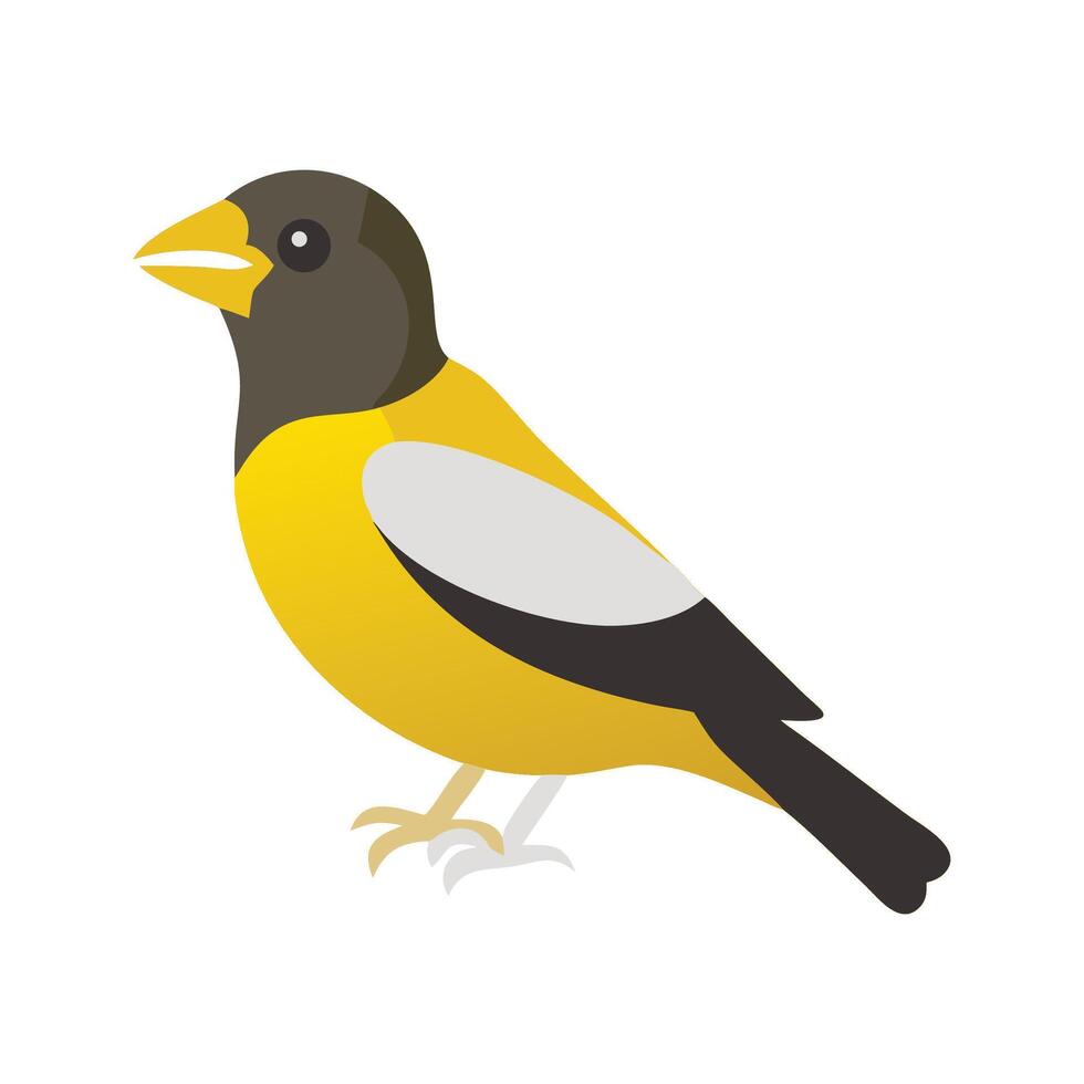 Evening Grosbeak Flat Icon 3 vector