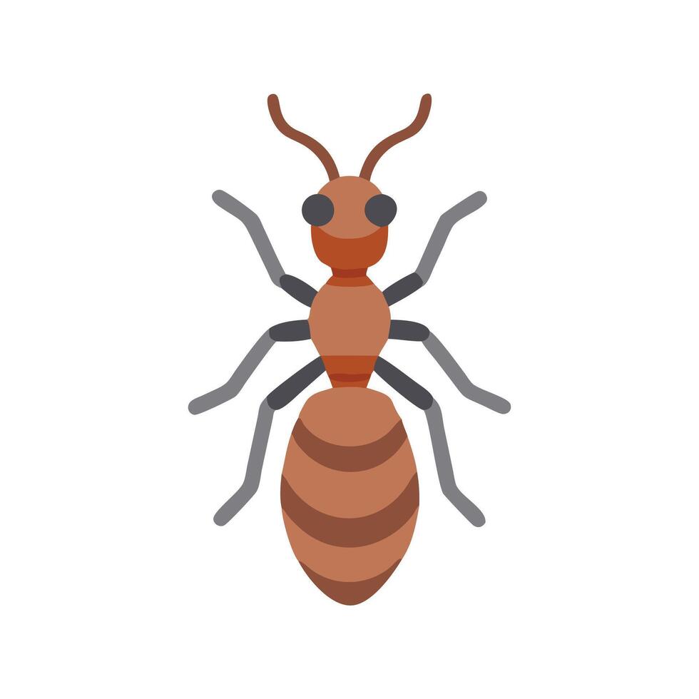 Queen Ant Flat Icon 3 vector