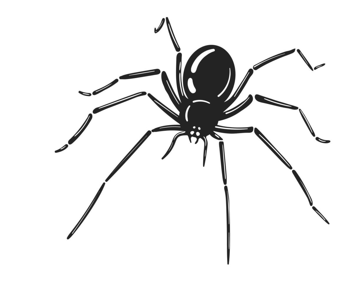 Creepy crawly Detailed illustration of a spider. Perfect for Halloween, nature themes, or symbolic designs representing fear or mystery. Versatile striking. vector