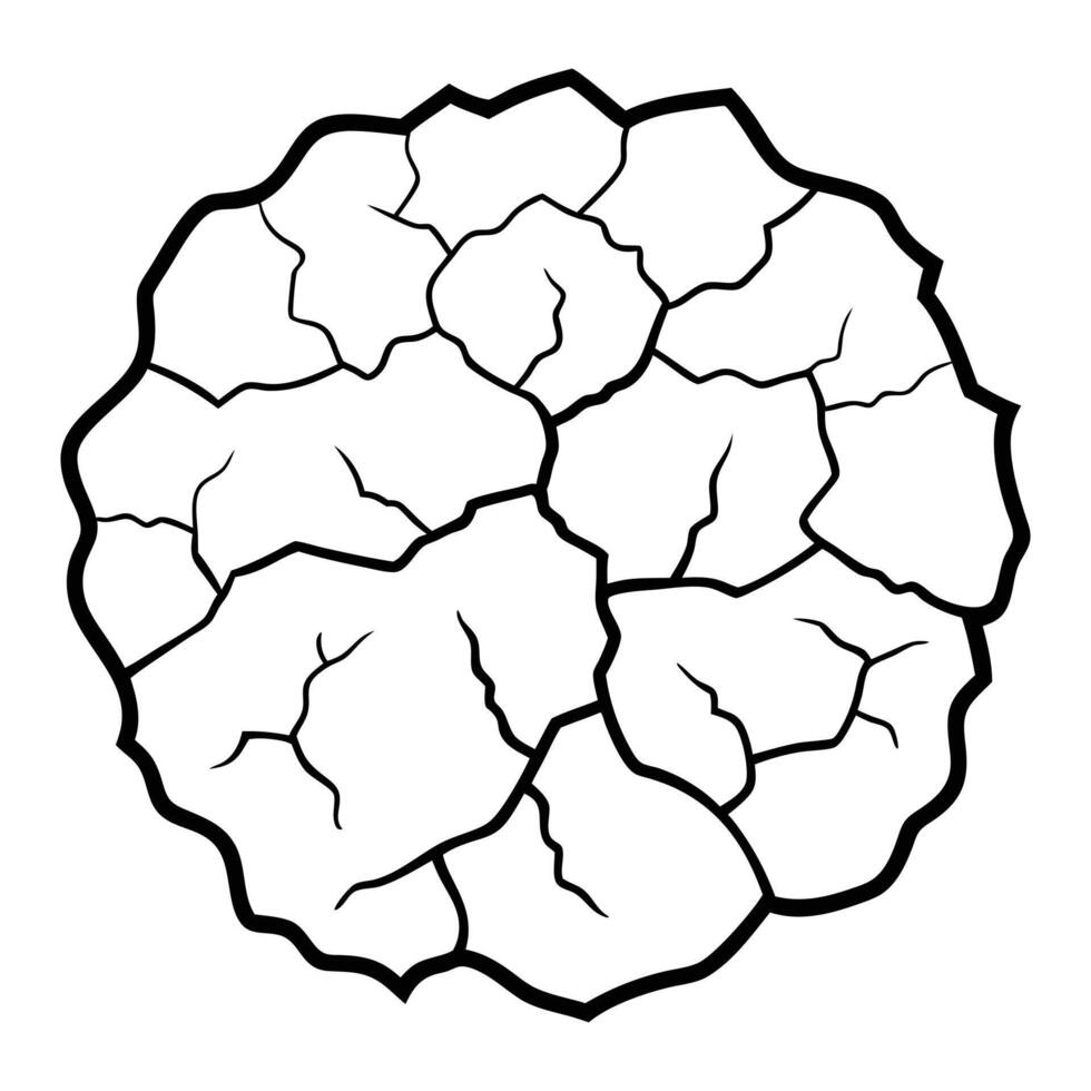 Cracked egg icon vector