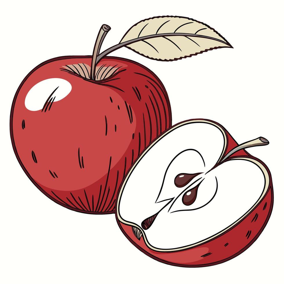 Sliced Red Apple vector