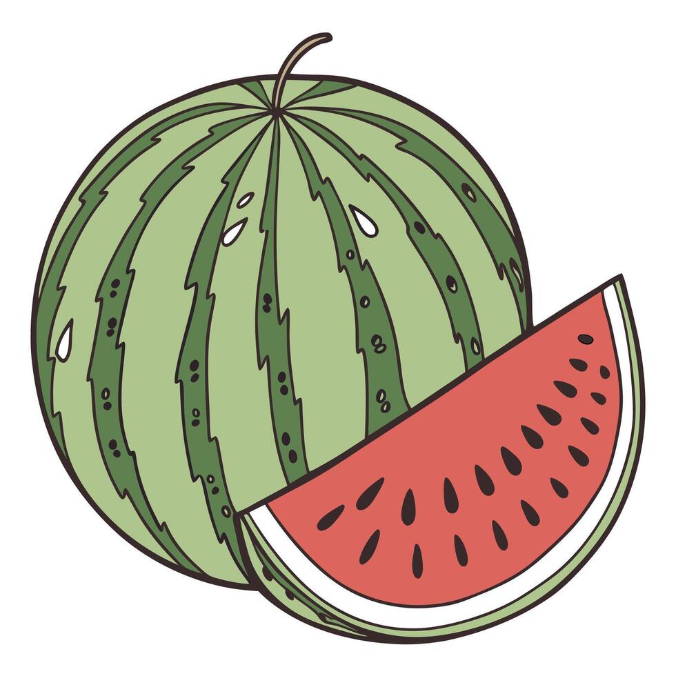 Watermelon slice illustration vector