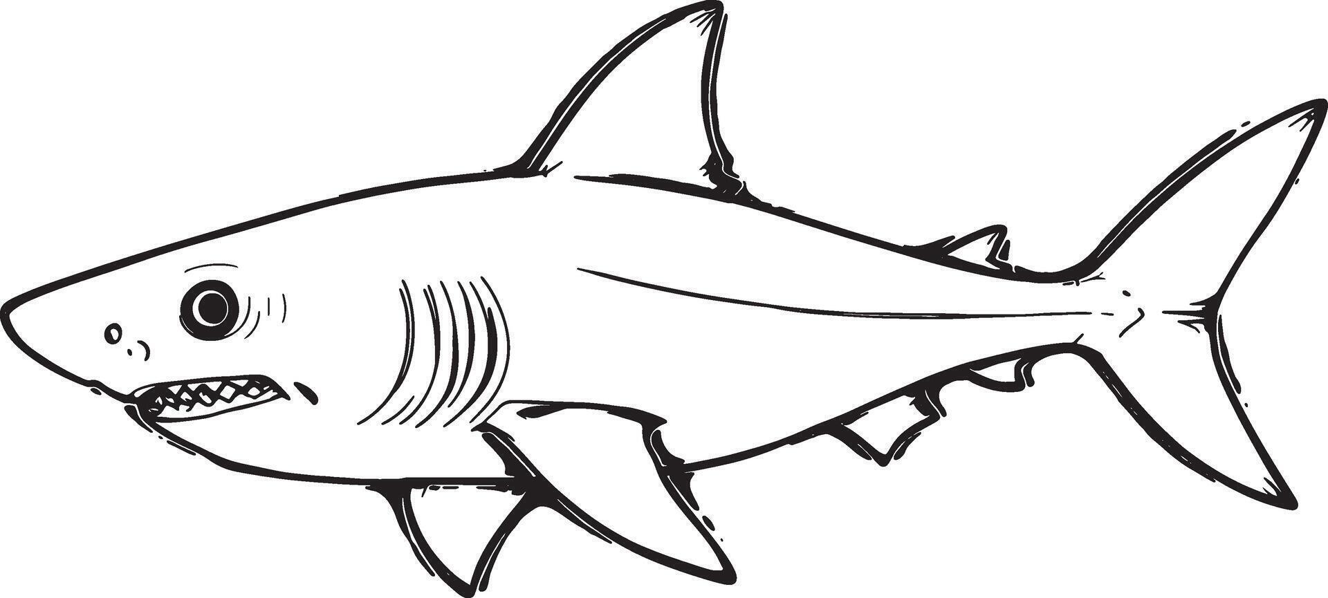 shark fish line art Silhouette design vector