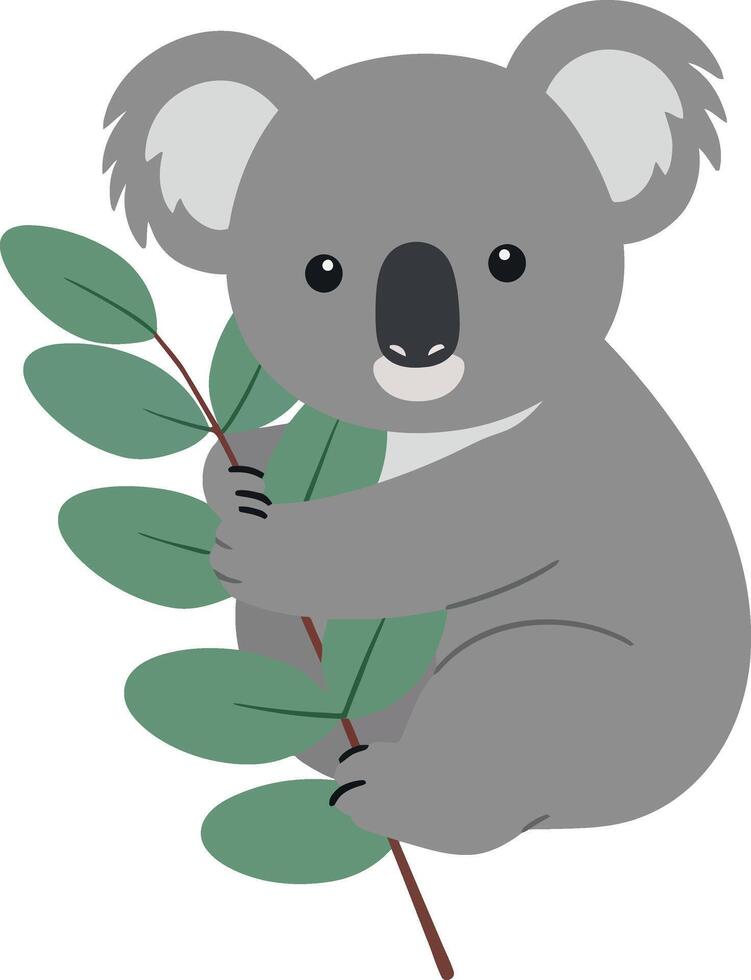 Koala holding eucalyptus branch illustration for t-shirt and print design projects vector