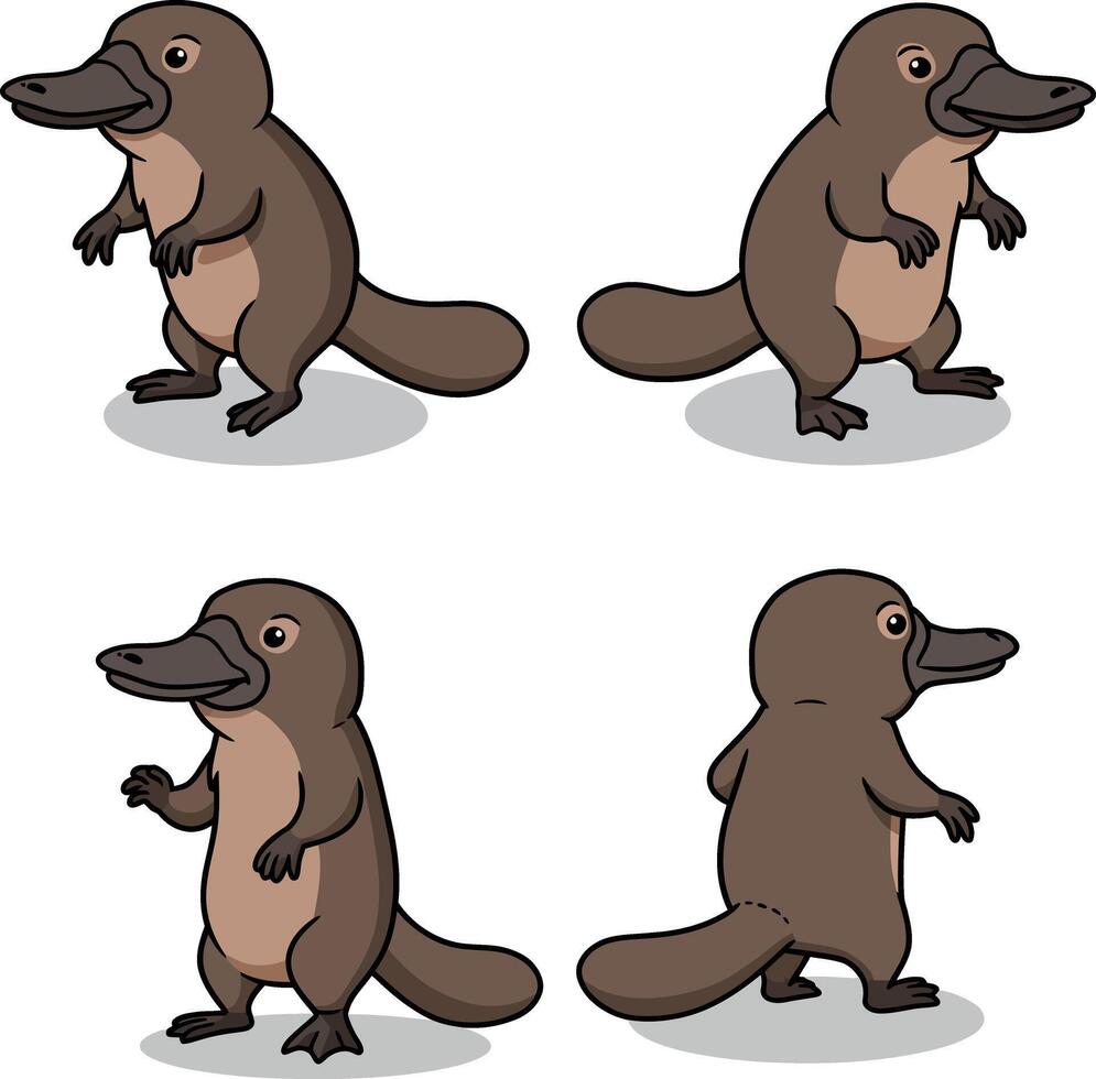 Platypus cartoon illustrations ideal for t-shirt printing and creative projects vector