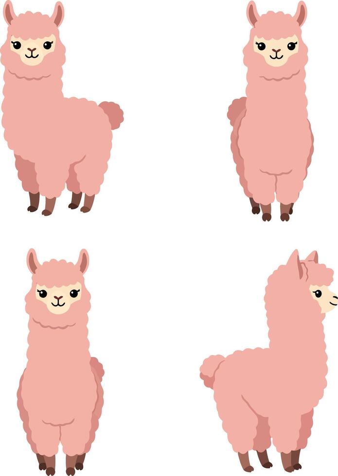 Pink Llama Illustrations for T-shirt Printing and Creative Projects Design vector