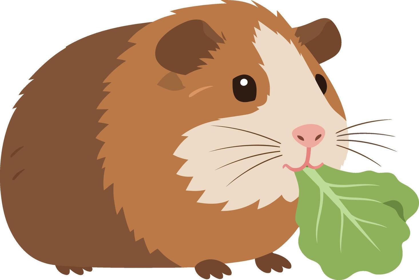 Guinea Pig Eating Leaf Illustration for Tshirt Projects vector