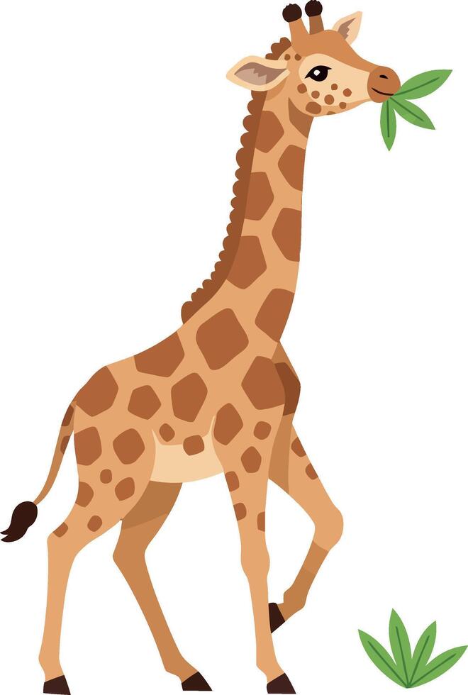 Giraffe eating leaves illustration ideal for t-shirt and cup printing designs vector