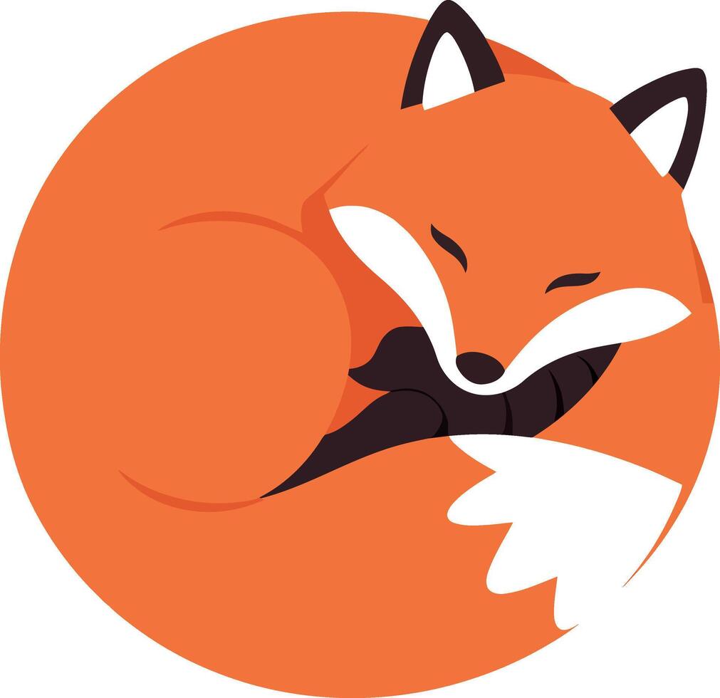 Sleeping fox curled up in a circle illustration for tshirt printing and design projects vector