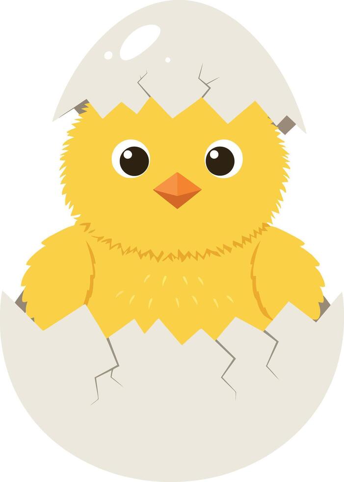 Cute yellow chick hatching from egg illustration for tshirt print and craft projects vector