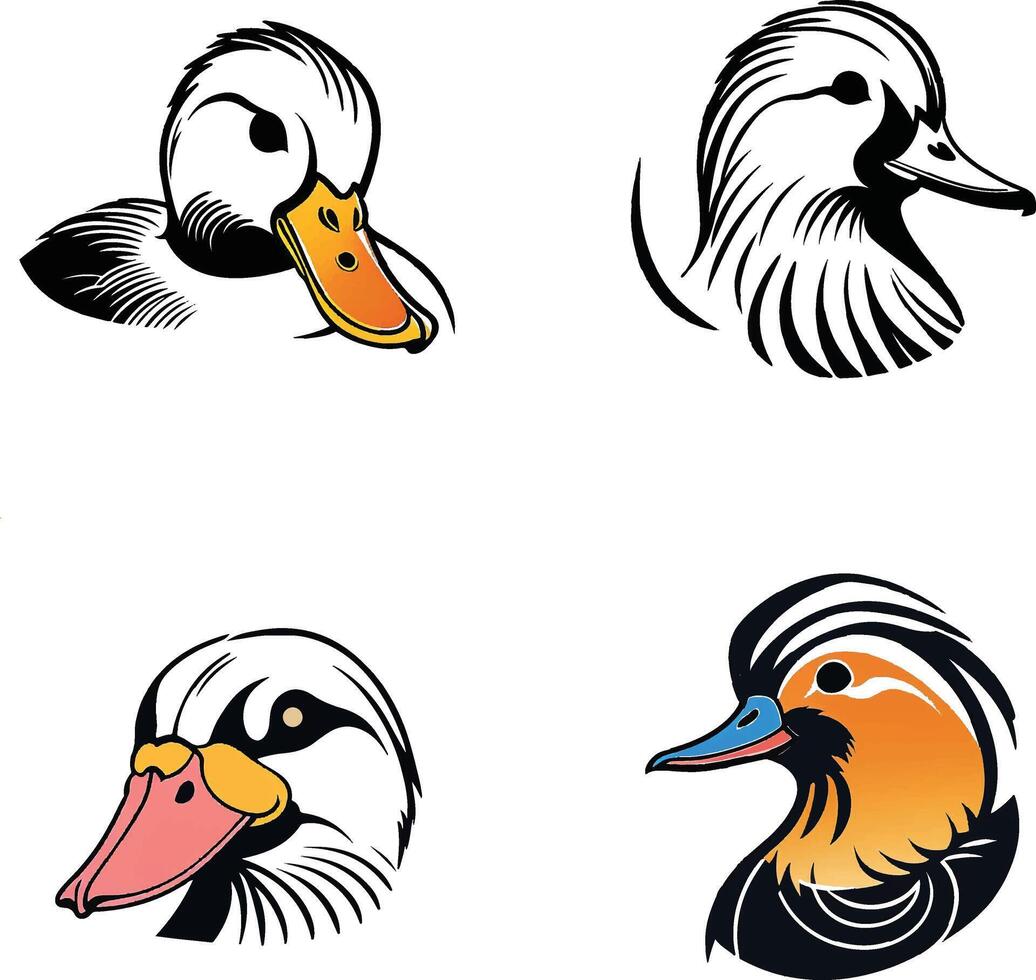 Bird Profile with Feather Detail vector