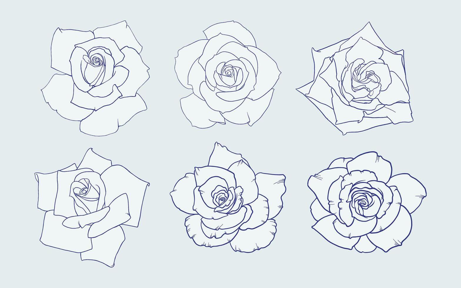 Set of hand drawn roses. Floral design collection. Illustration of a flower. Monochrome botanical sketch. vector