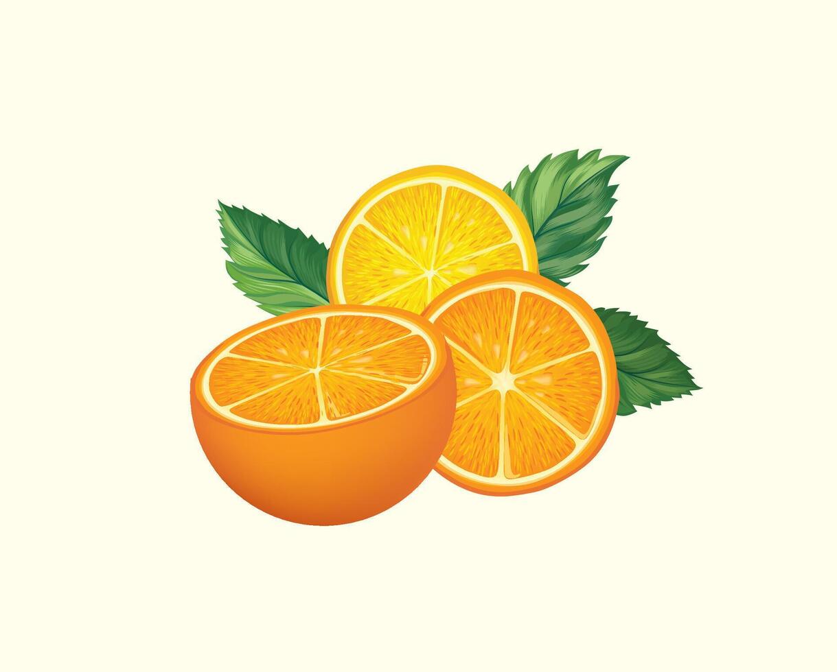 Fresh fruits with mint leaves. Fresh orange,mandarine sliced pieces. Citrus food background with fruits juice drink. vector