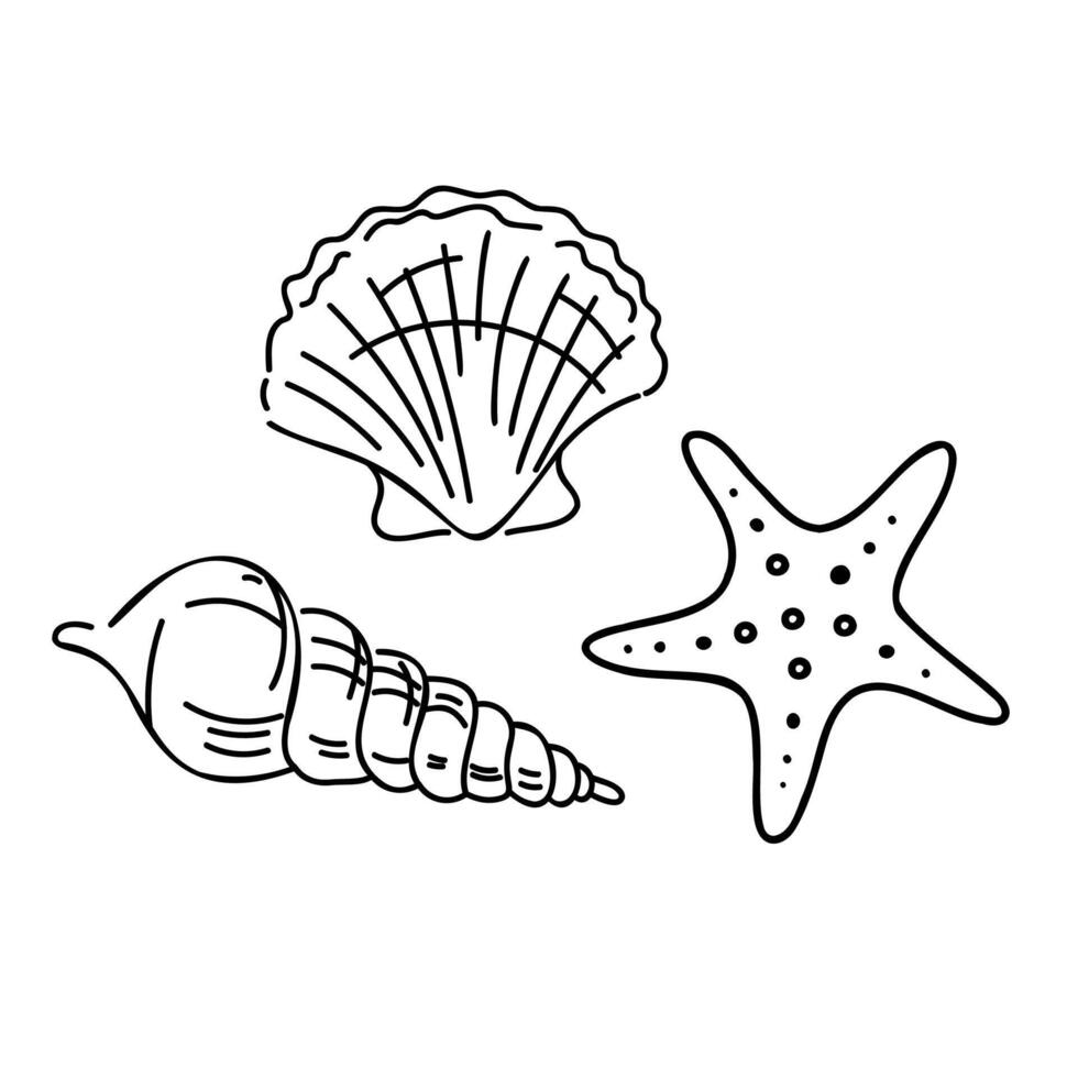 A minimalist black line art set of sea elements a spiral shell, scallop shell, and starfish. Perfect for beach-themed designs, kids coloring pages, summer invitations, packaging, digital papers vector
