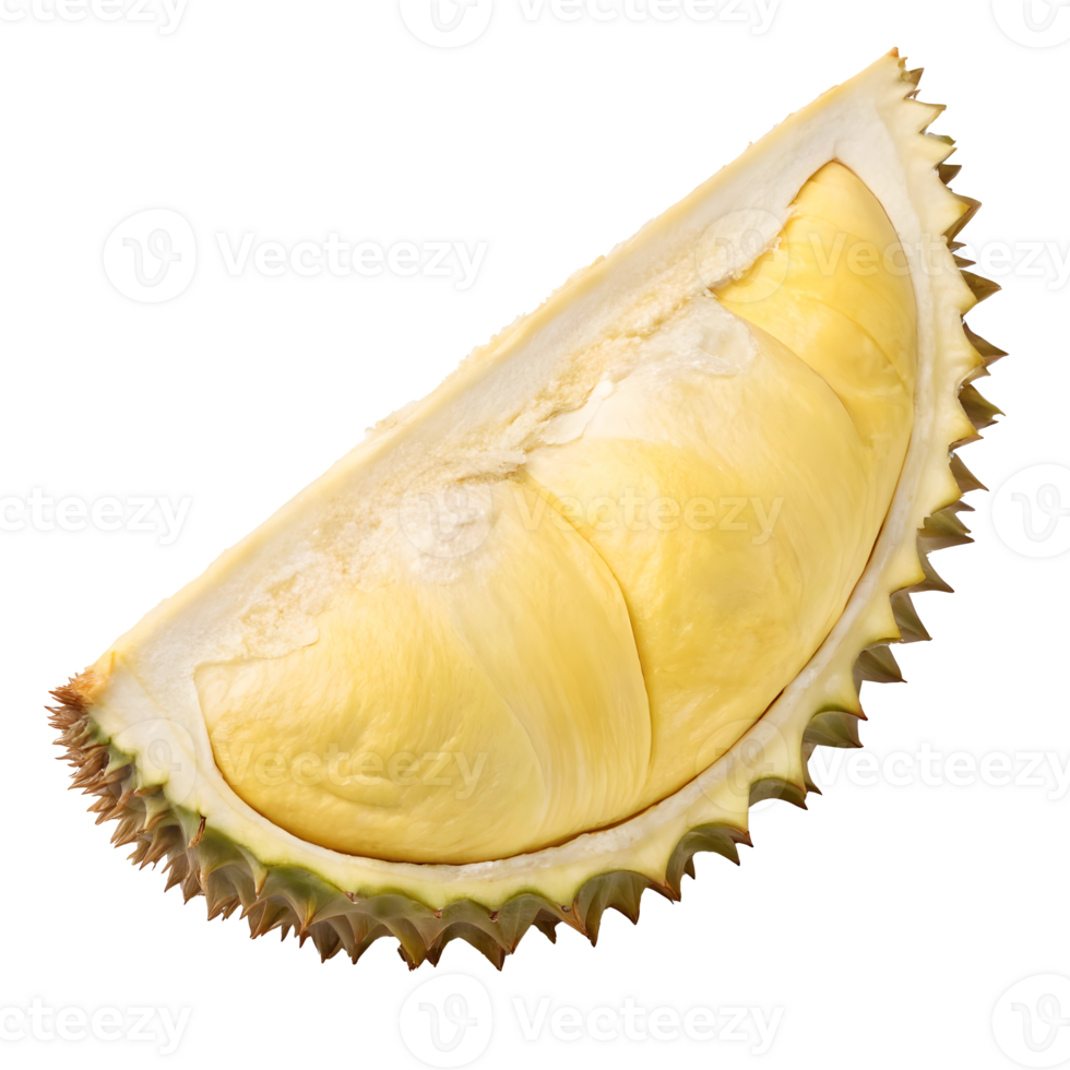 Slice of durian fruit showing rich yellow flesh and spiky shell png