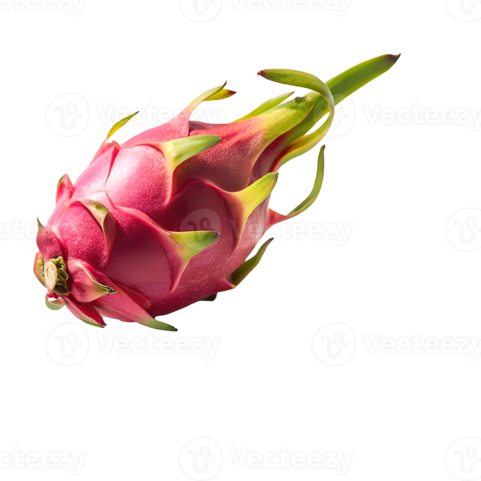 Vibrant dragon fruit showcasing its unique shape and vivid colors png