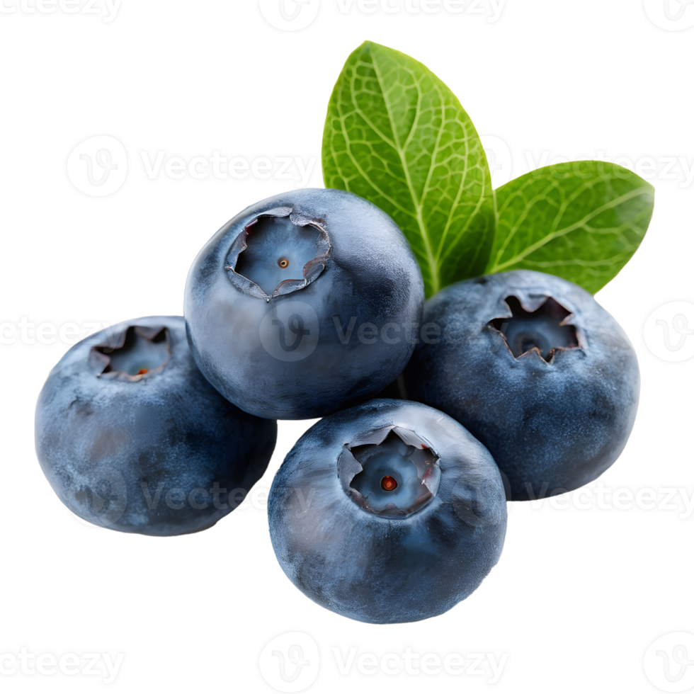 Fresh blueberries with green leaves on a transparent background png