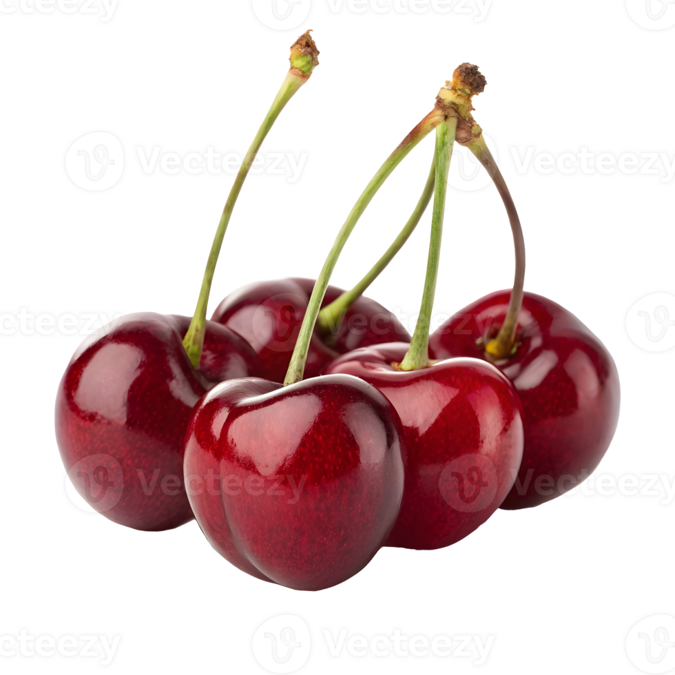 Fresh cherries ready for harvest in bright red color against transparent background png