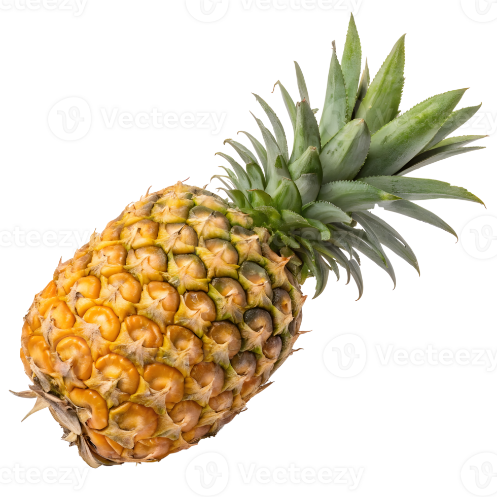 Fresh pineapple captured on a transparent background showcasing its vibrant color png
