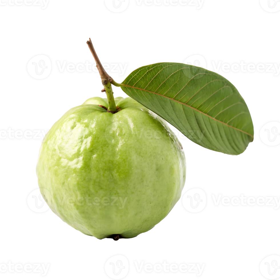 Green guava fruit with a fresh leaf on a transparent background png