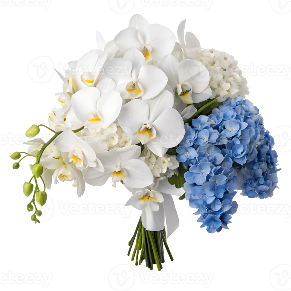Elegant bouquet featuring white orchids and blue hydrangeas for decoration png