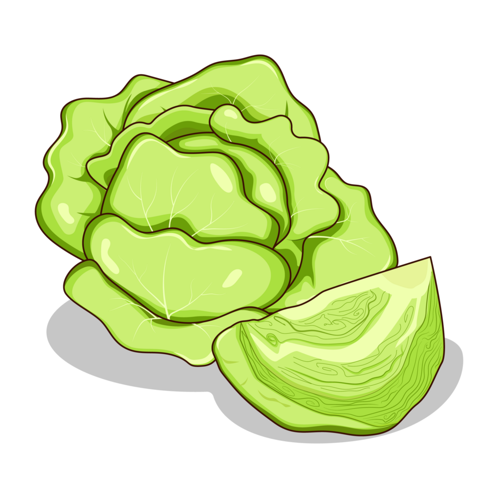 Cartoon Ripe Cabbage with Half Slice Cabbage in transparent background png