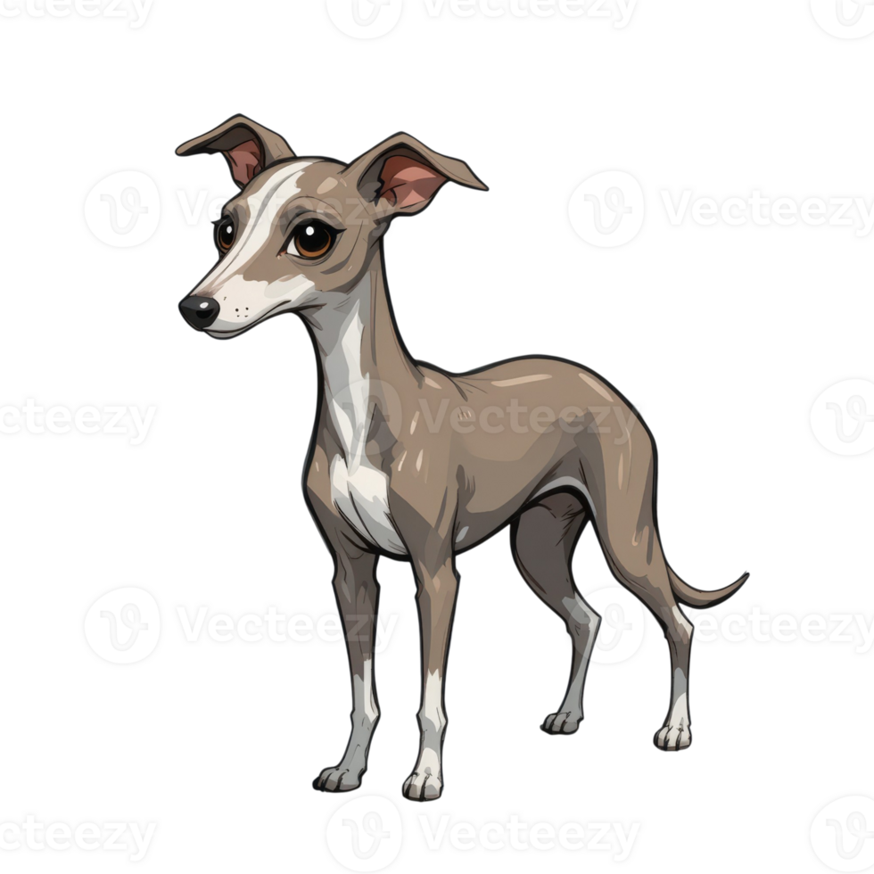 digital illustration of sleek greyhound dog with slender body, large expressive eyes, and short coat in shades of brown and white. artwork captures elegance and charm of breed. png