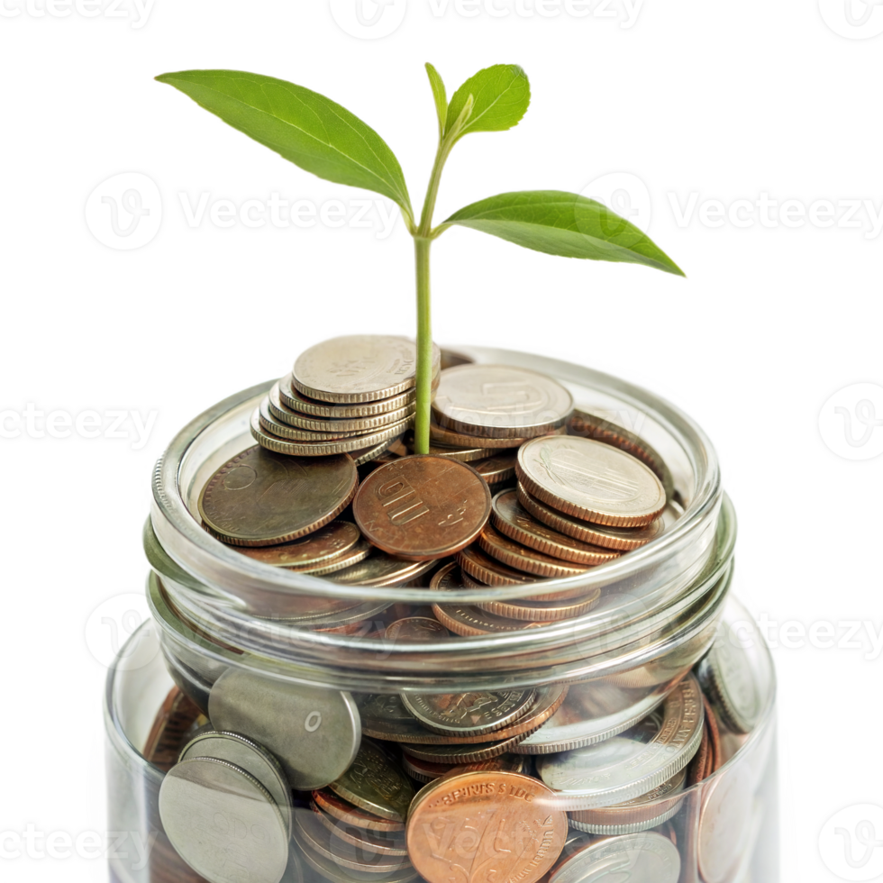 Close-Up of a Young Plant Growing from a Jar Filled with Coins on Transparent Background png