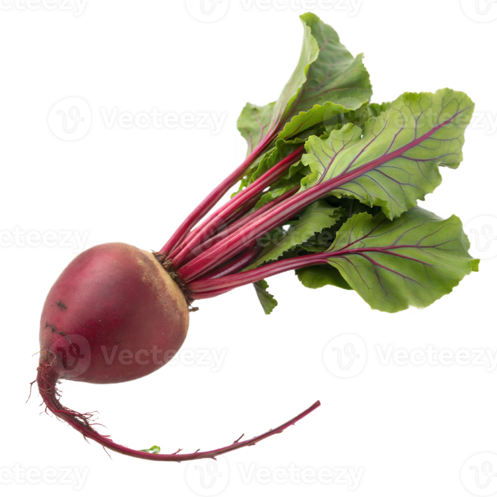 Vibrant Red Beetroot with Fresh Green Leaves on Transparent Background png