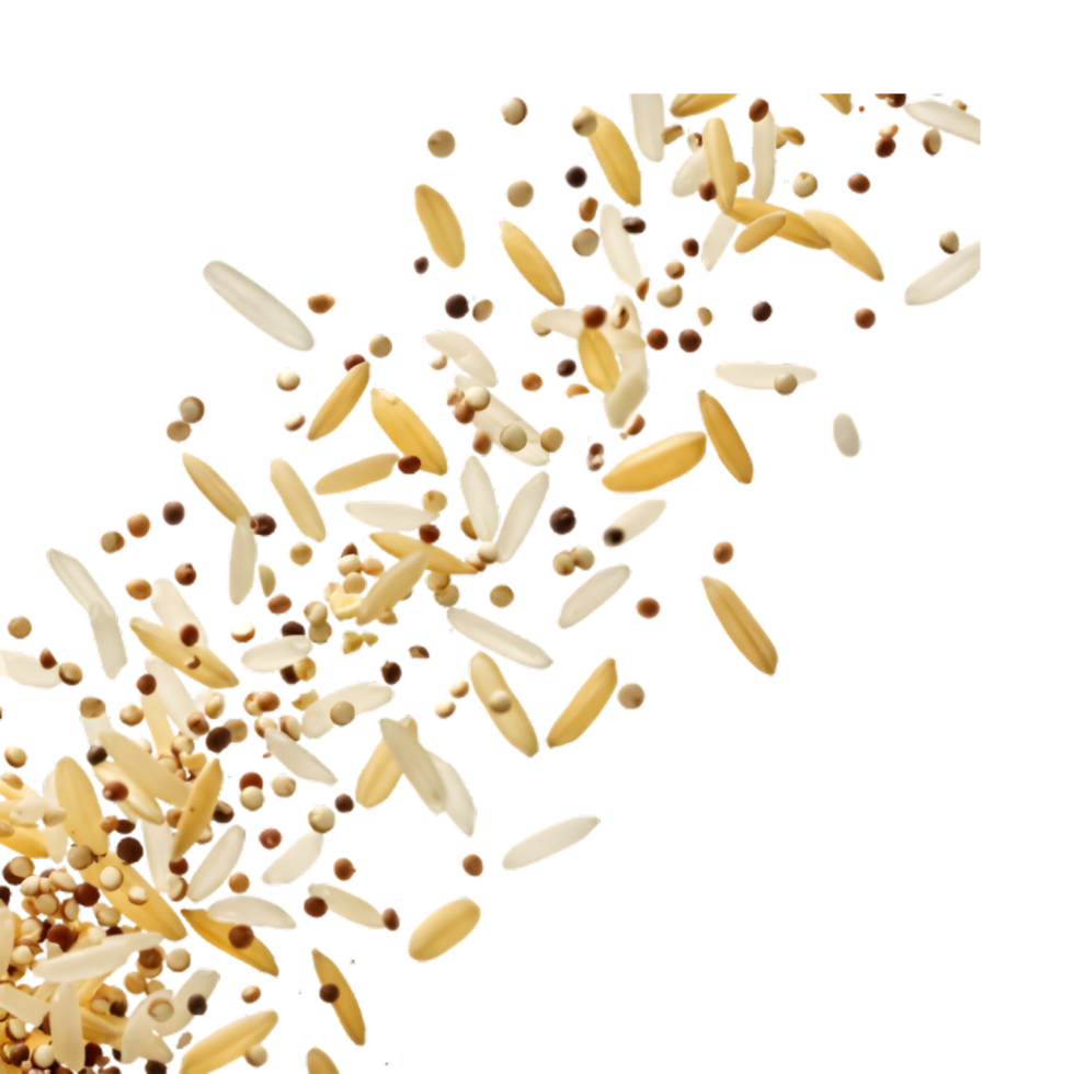 Golden Grains Falling A Digital Illustration of Wheat or Oat Kernels Cascading png