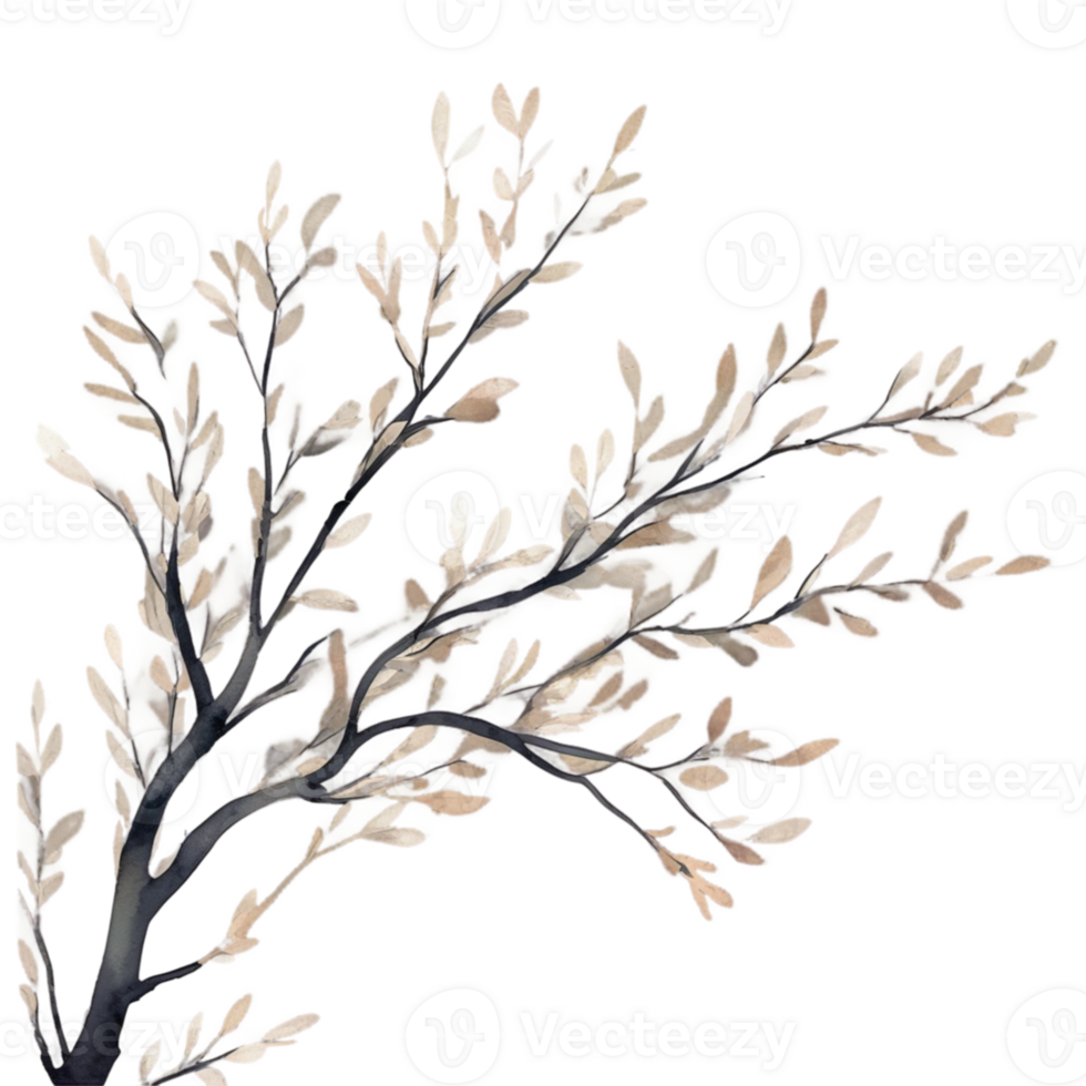 Delicate watercolor branches, soft and flowing, capturing the graceful curve of tree limbs with gentle blending of earthy tones. png