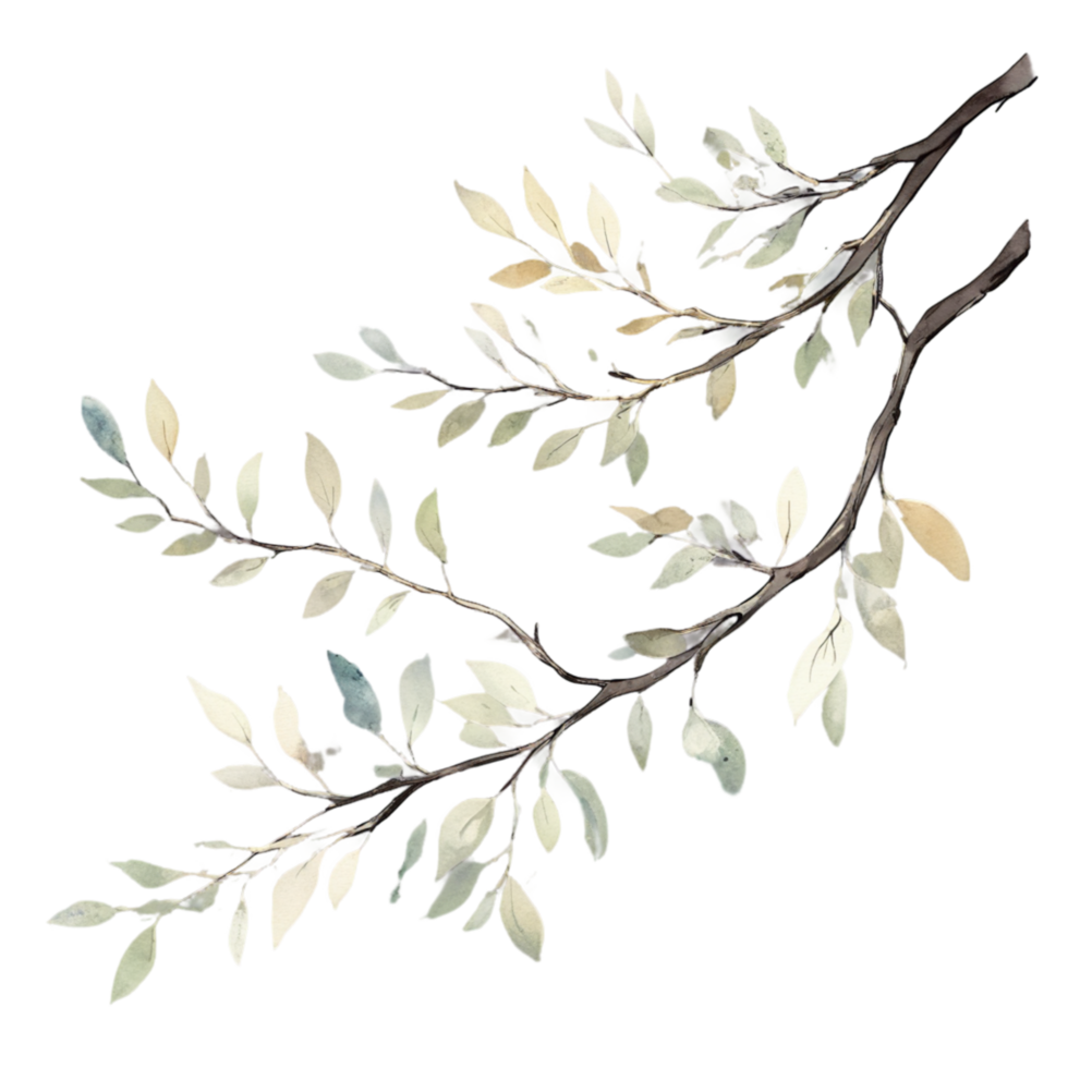Elegant, fluid watercolor branches, with light brushstrokes creating a sense of movement and life within the tree's limbs. png