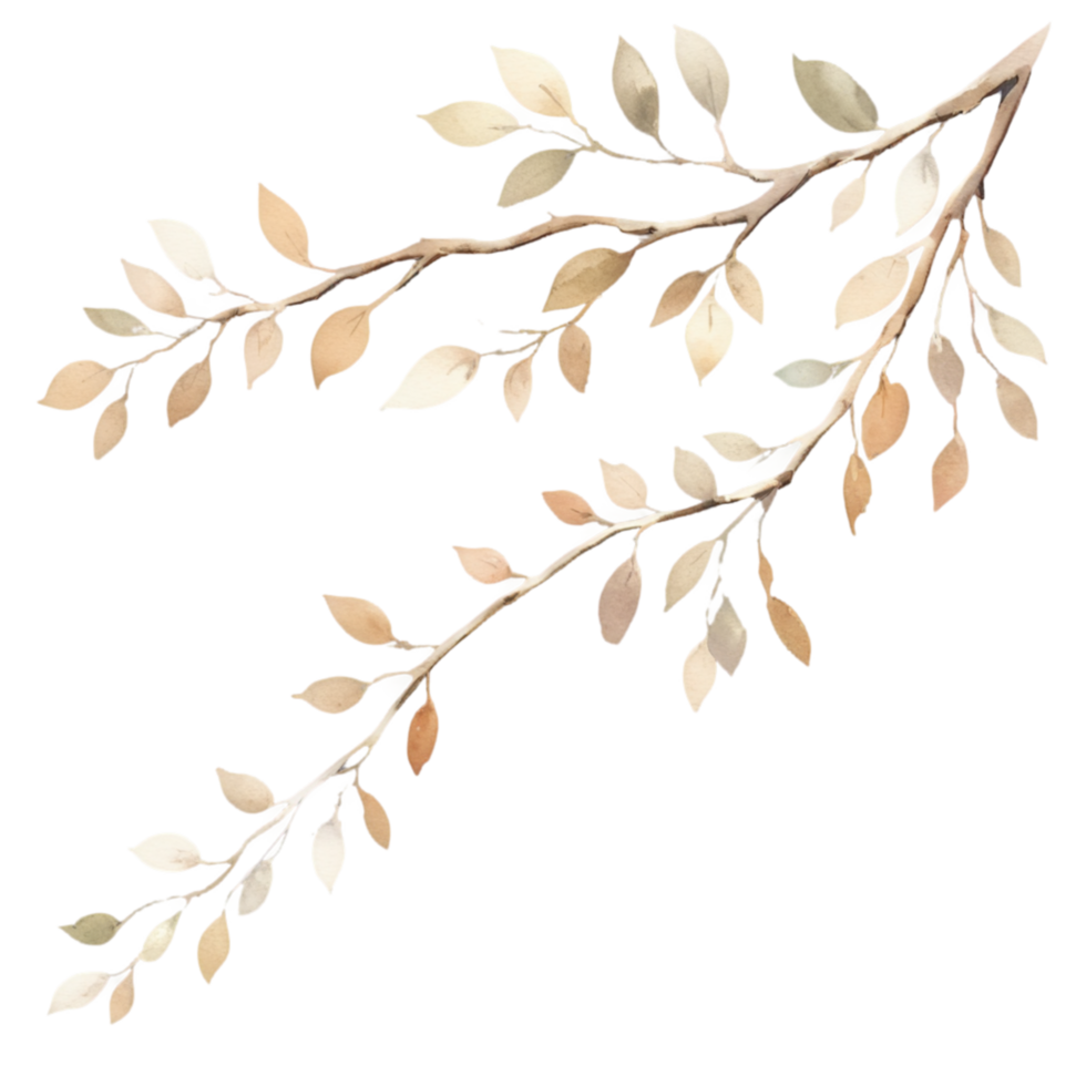 A watercolor tree branch with detailed, organic lines, featuring subtle washes of color to evoke a peaceful, natural feel. png