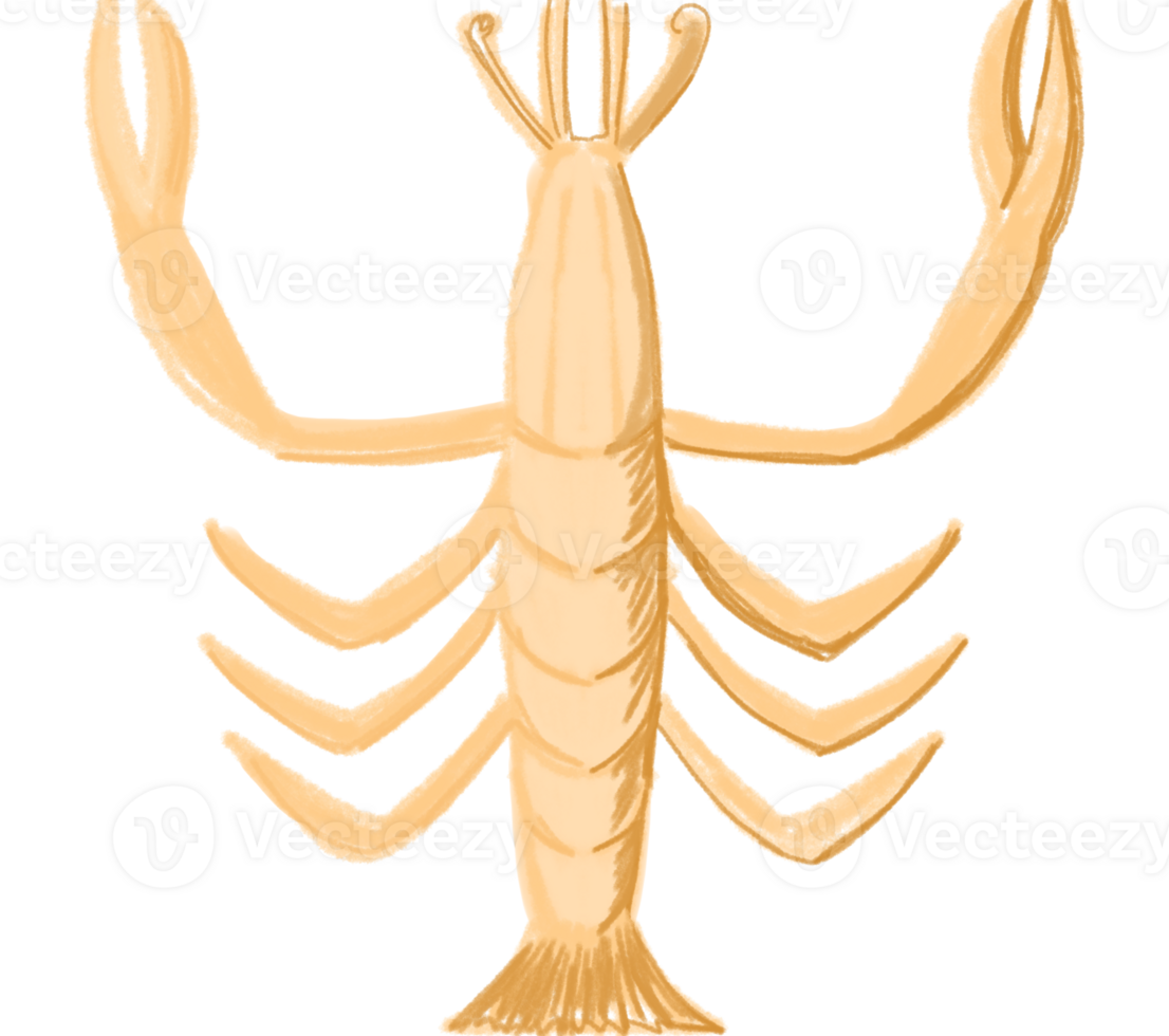 A lobster symbolizes strength, resilience, and transformation, often associated with oceanic mystery. Its vibrant red shell and powerful claws embody protection, vitality, and boldness. png