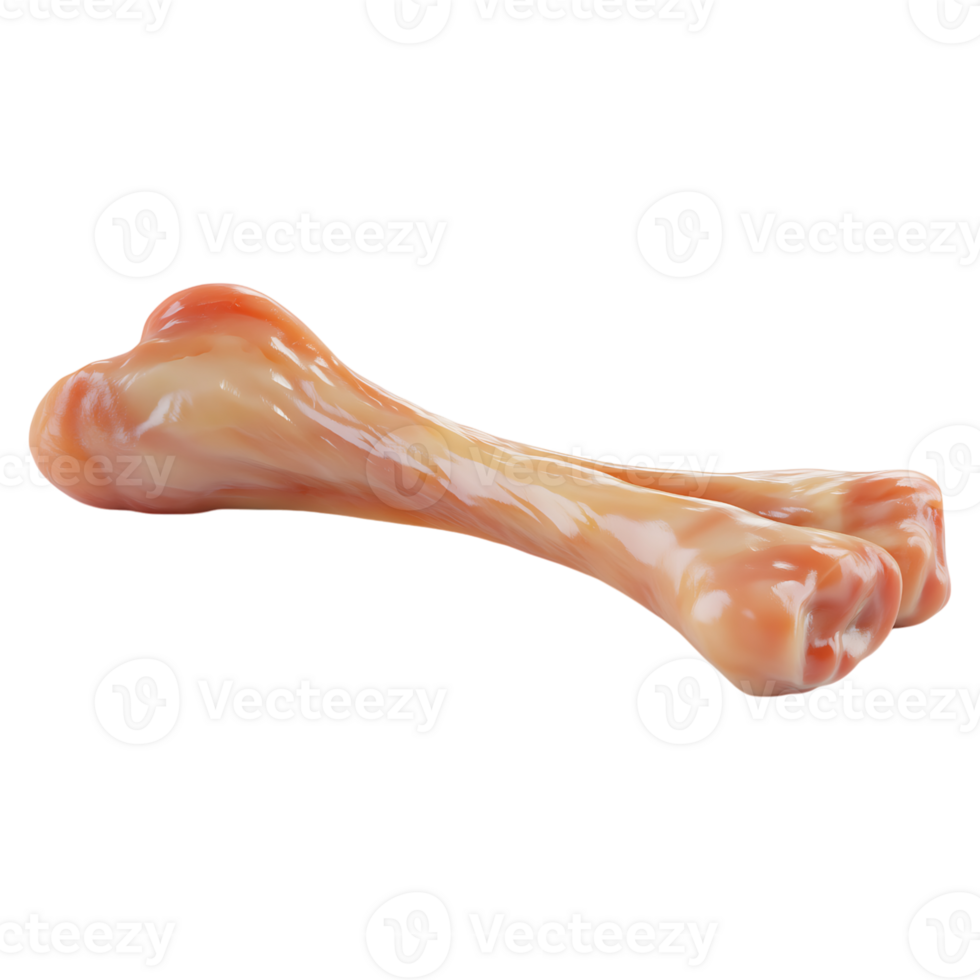 A raw leg bone of chicken png