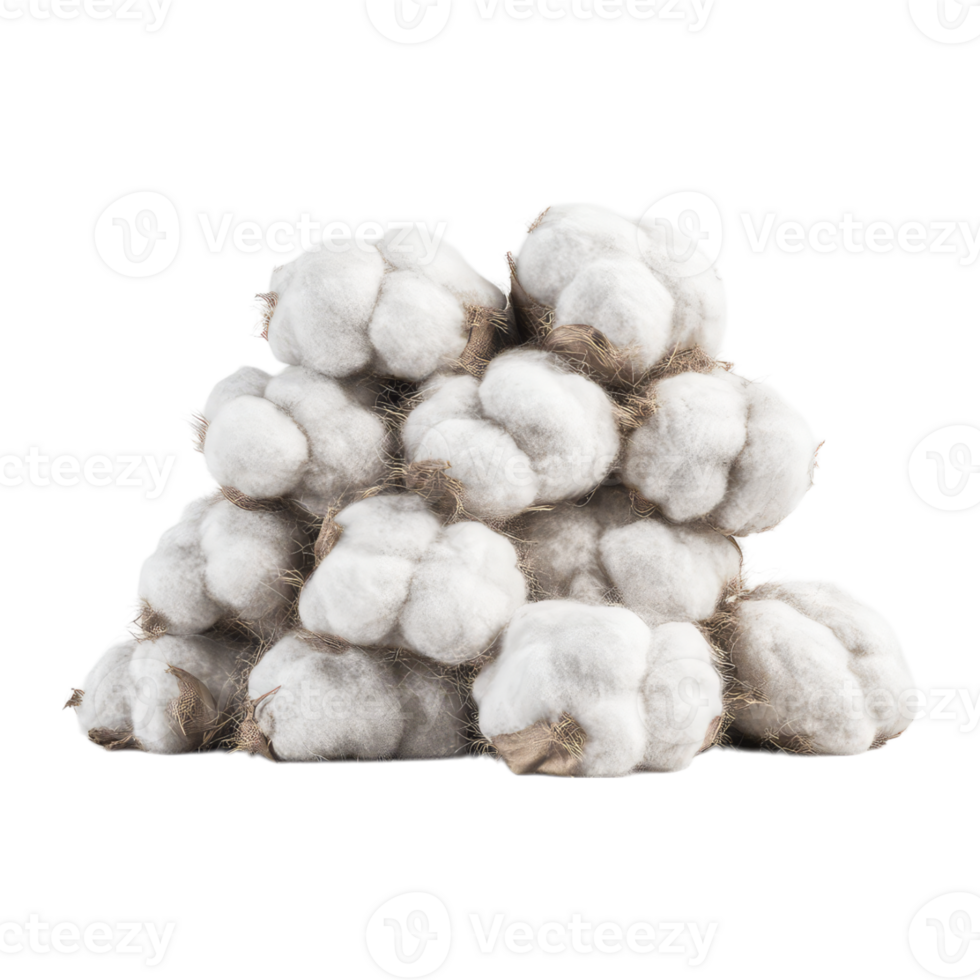 Stacked cotton boll png