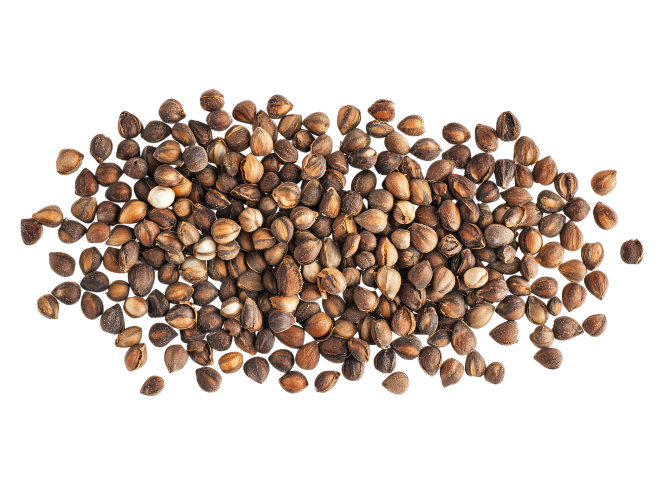 Scattered cotton seeds png