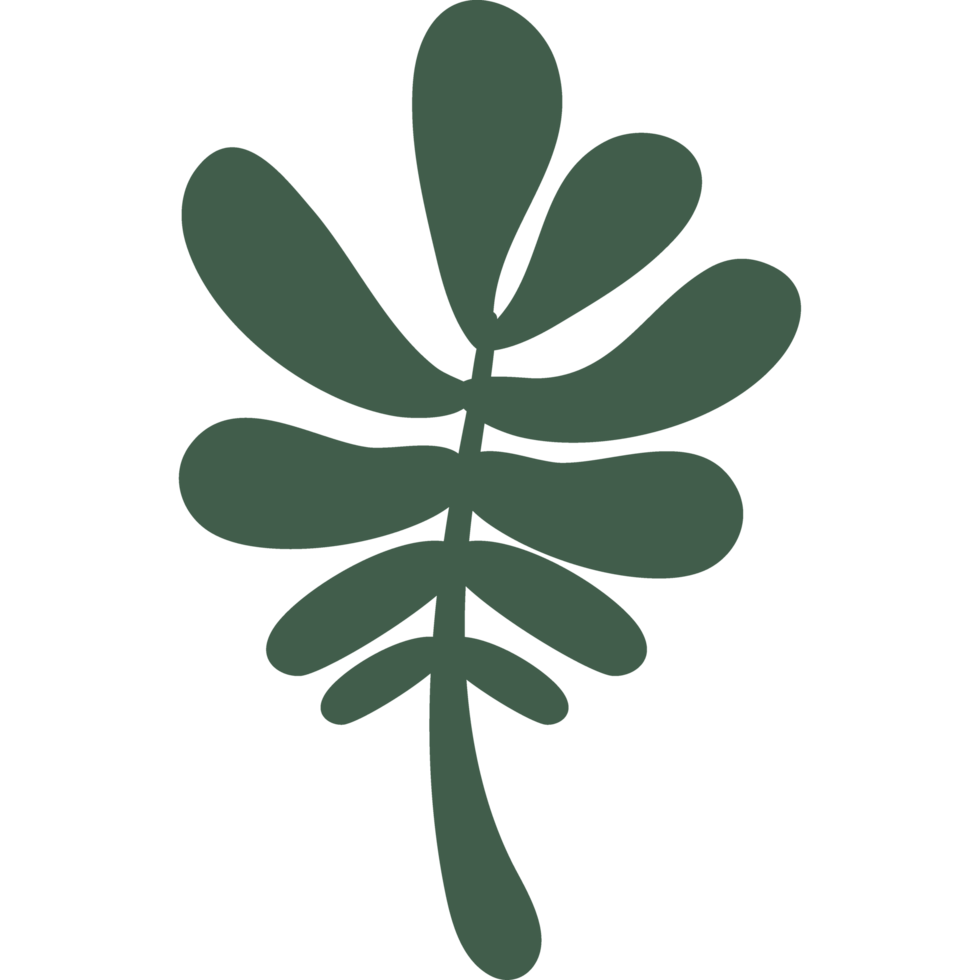 leaves foliage nature element icon isolated png
