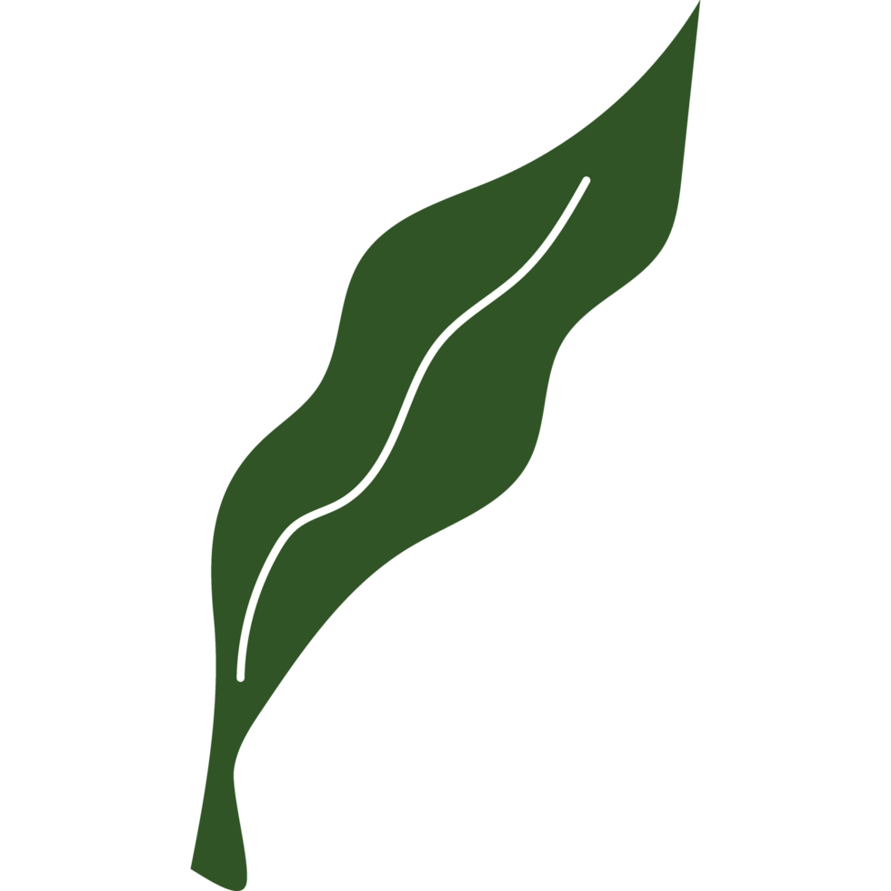green leaf nature element icon isolated png