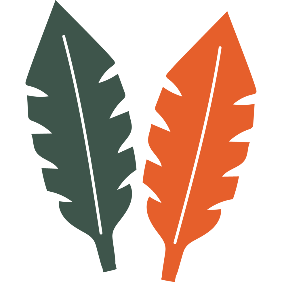 palm leaf nature element icon isolated png