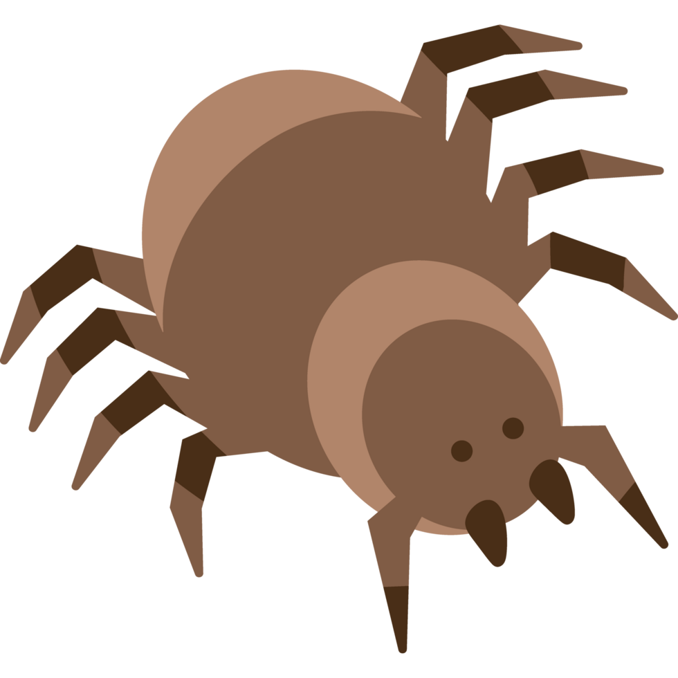 spider desert animal icon isolated png