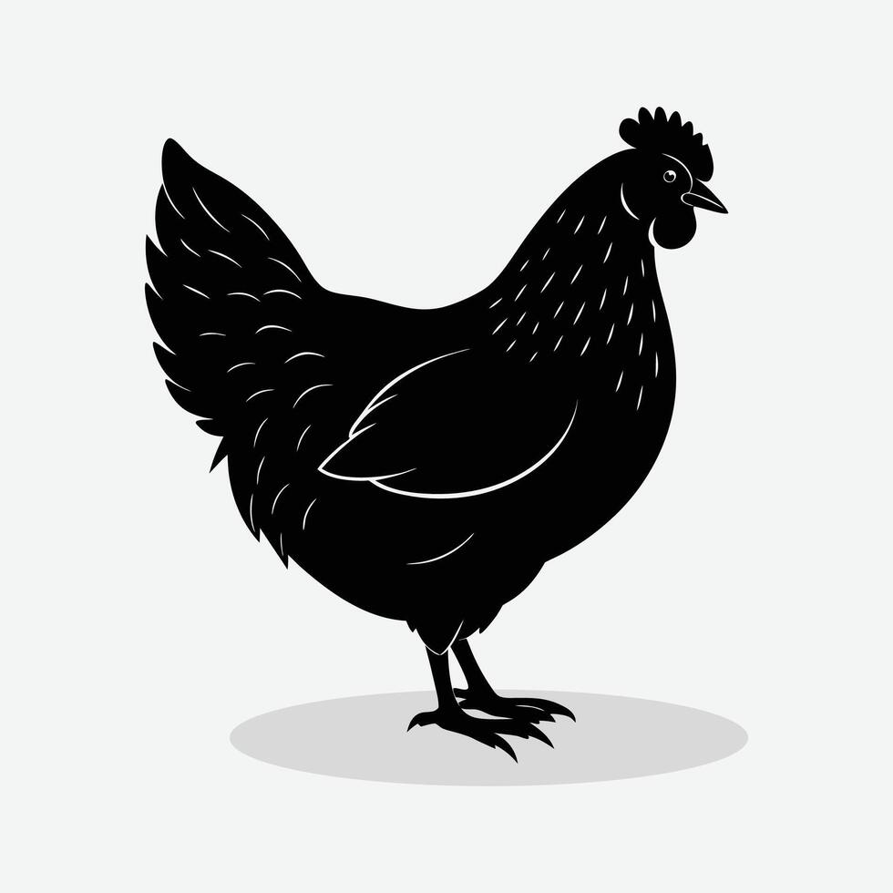 black chicken silhouette on white background vector