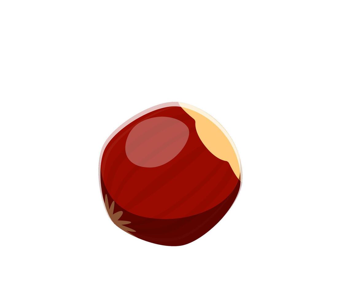 Autumn season font hazelnut punctuation period vector
