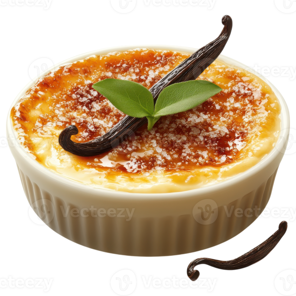 Creamy dessert with caramelized sugar crust and vanilla garnish, perfect for indulgence png
