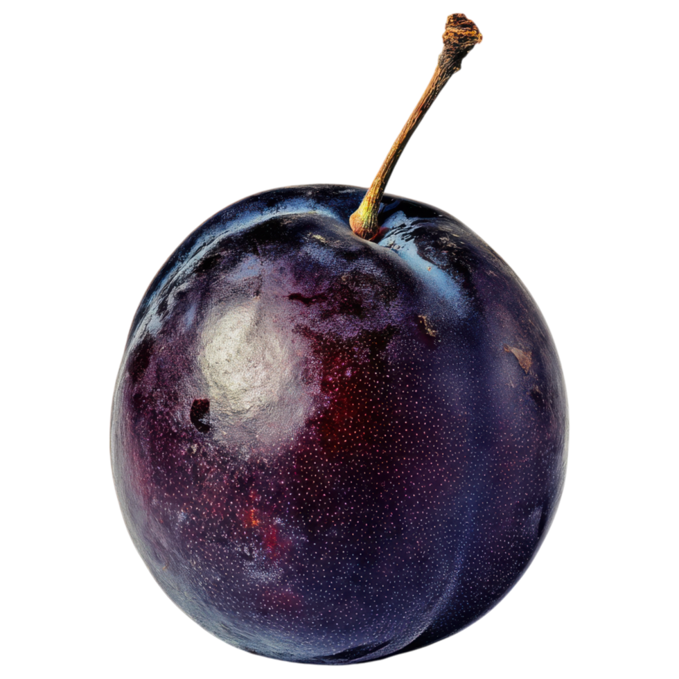 Fresh purple plum with shiny surface and stem isolated on transparency background png